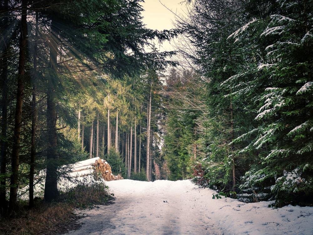 Ekonomiskog i Finland