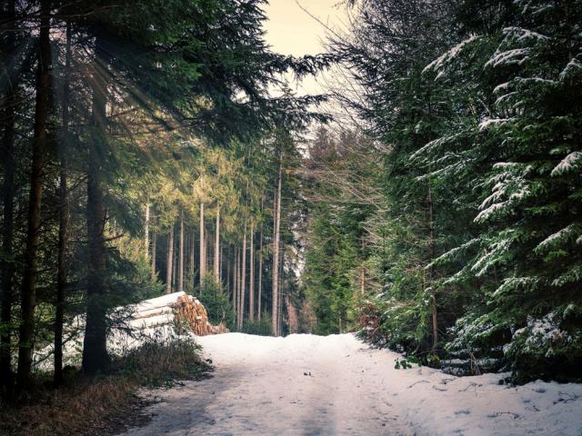 Ekonomiskog i Finland